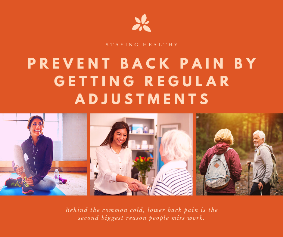 Prevent Back Pain